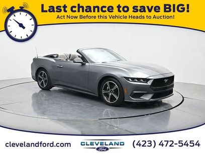 Certified 2024 Ford Mustang Premium