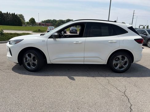 Used 2024 Ford Escape ST-Line w/ Tech Pack #1 AWD/4WD image 4
