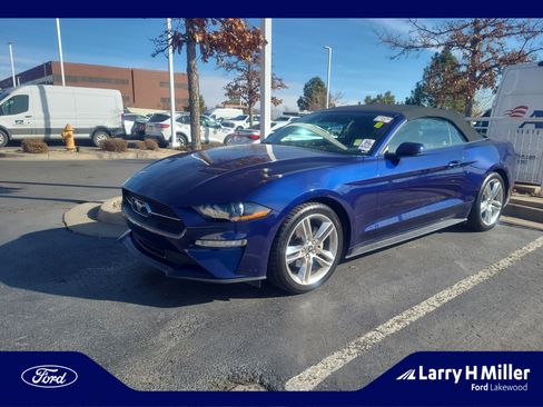 Used 2019 Ford Mustang Premium w/ Equipment Group 201A image 1