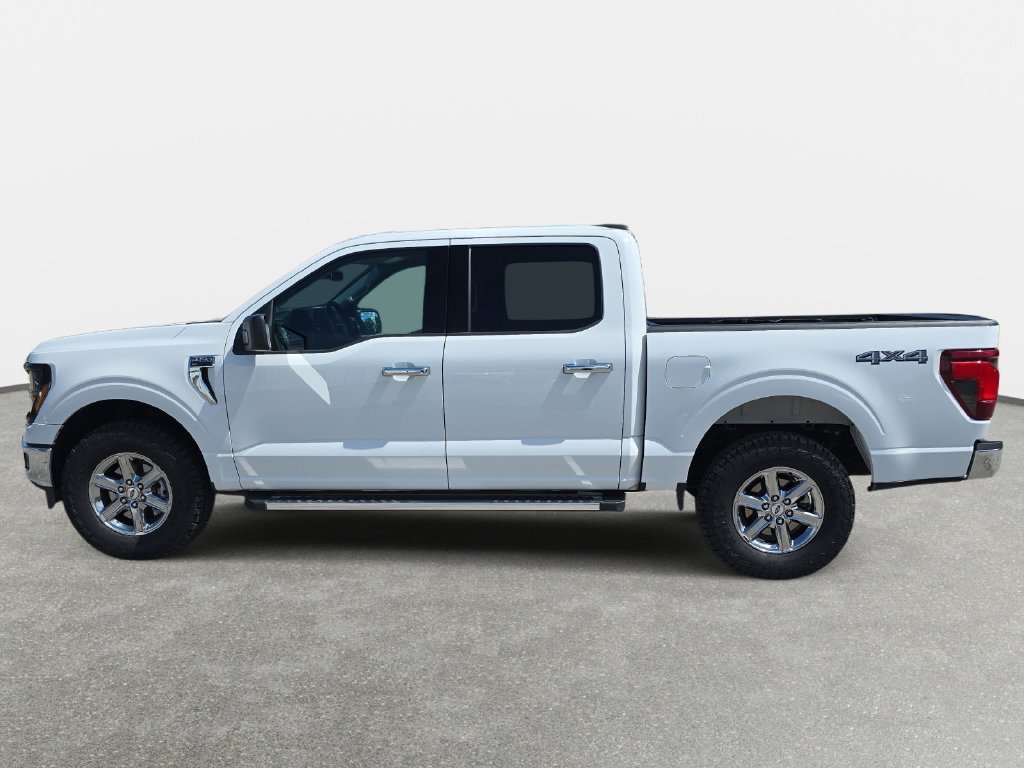 Used 2025 Ford F150 XLT w/ Equipment Group 301A Standard AWD/4WD image 8