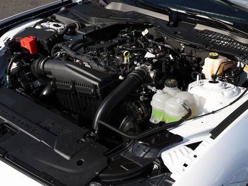 New 2025 Ford Mustang Premium image 4