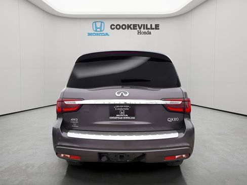 Used 2024 INFINITI QX80 Luxe RWD image 6