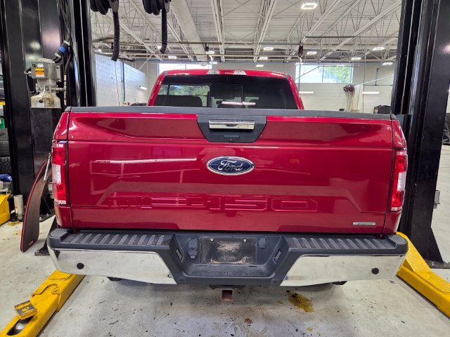 Used 2020 Ford F150 XLT w/ Equipment Group 302A Luxury AWD/4WD image 3