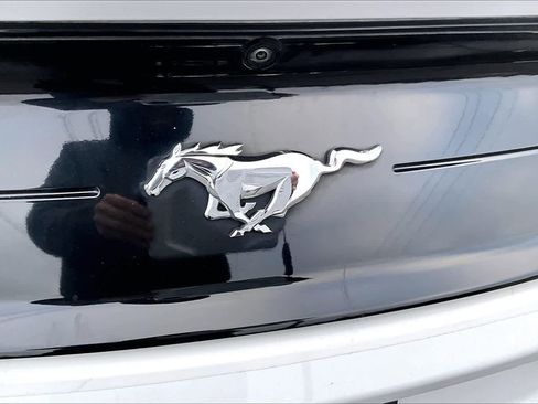 Used 2022 Ford Mustang Coupe image 7