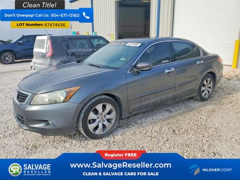Used 2010 Honda Accord EX-L image 1