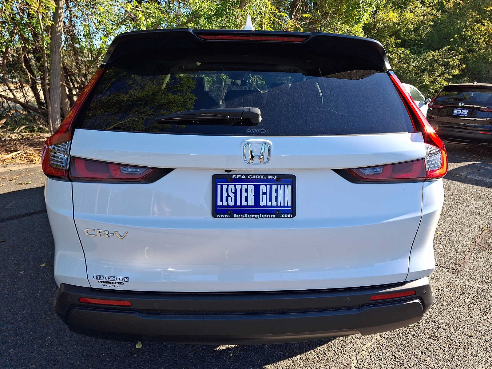 Certified 2025 Honda CR-V EX-L image 5