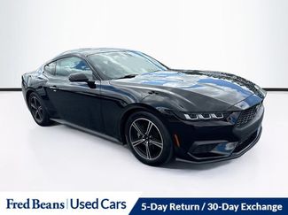 Used 2024 Ford Mustang Premium RWD video 1