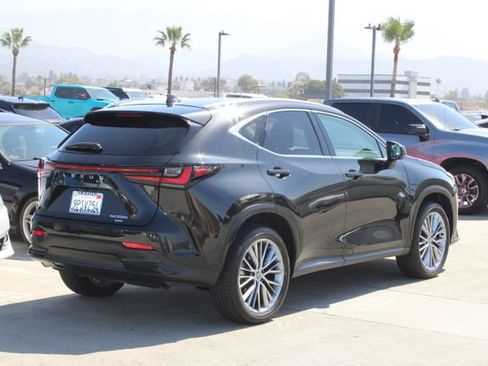 Certified 2025 Lexus NX 350h AWD w/ Cold Area Package image 20