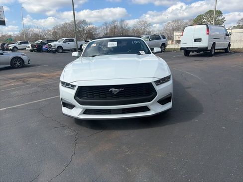 Used 2024 Ford Mustang Premium image 2