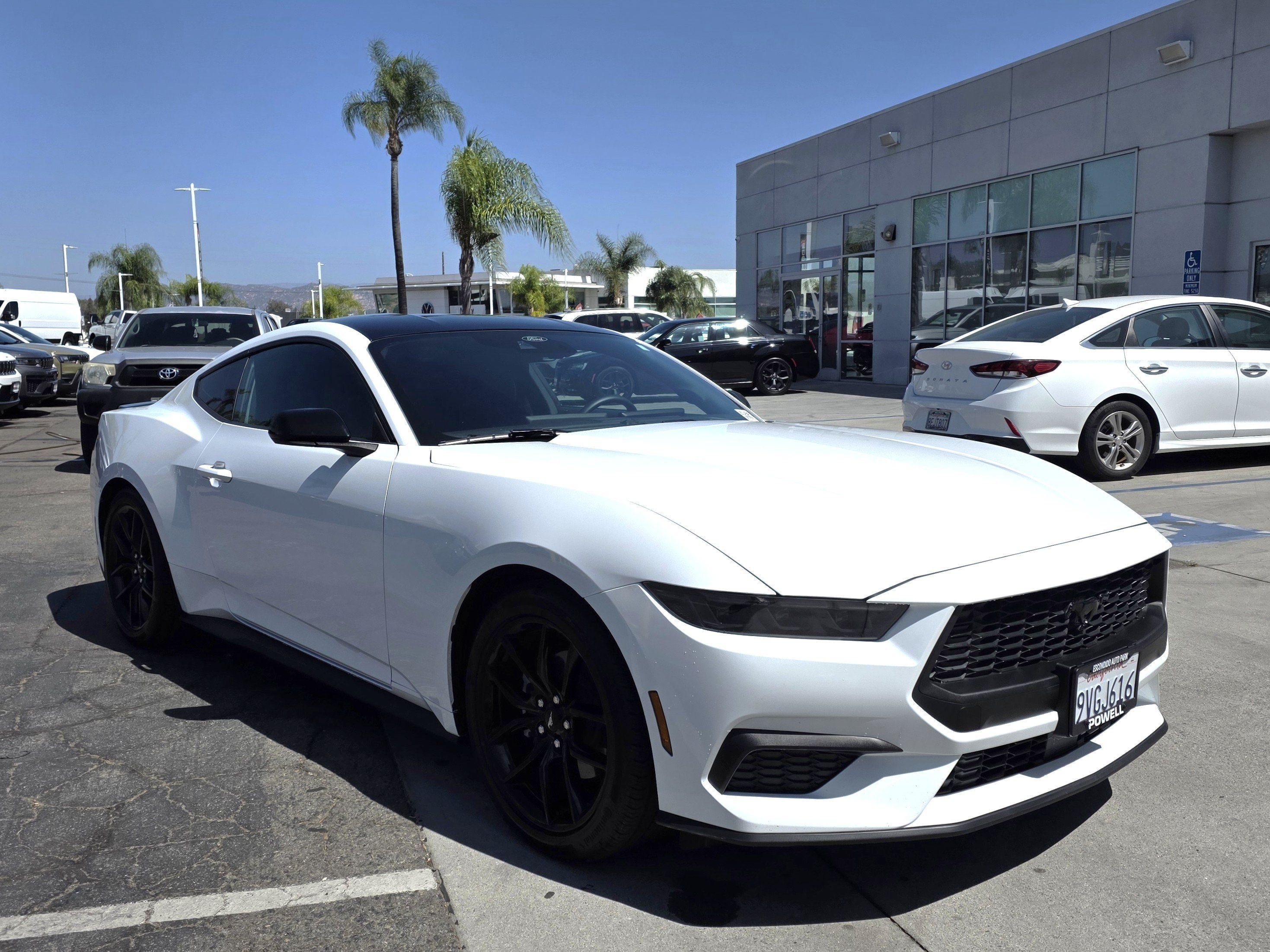 Used 2025 Ford Mustang Coupe RWD image 5