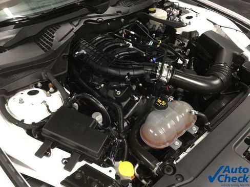 Used 2017 Ford Mustang Convertible image 41