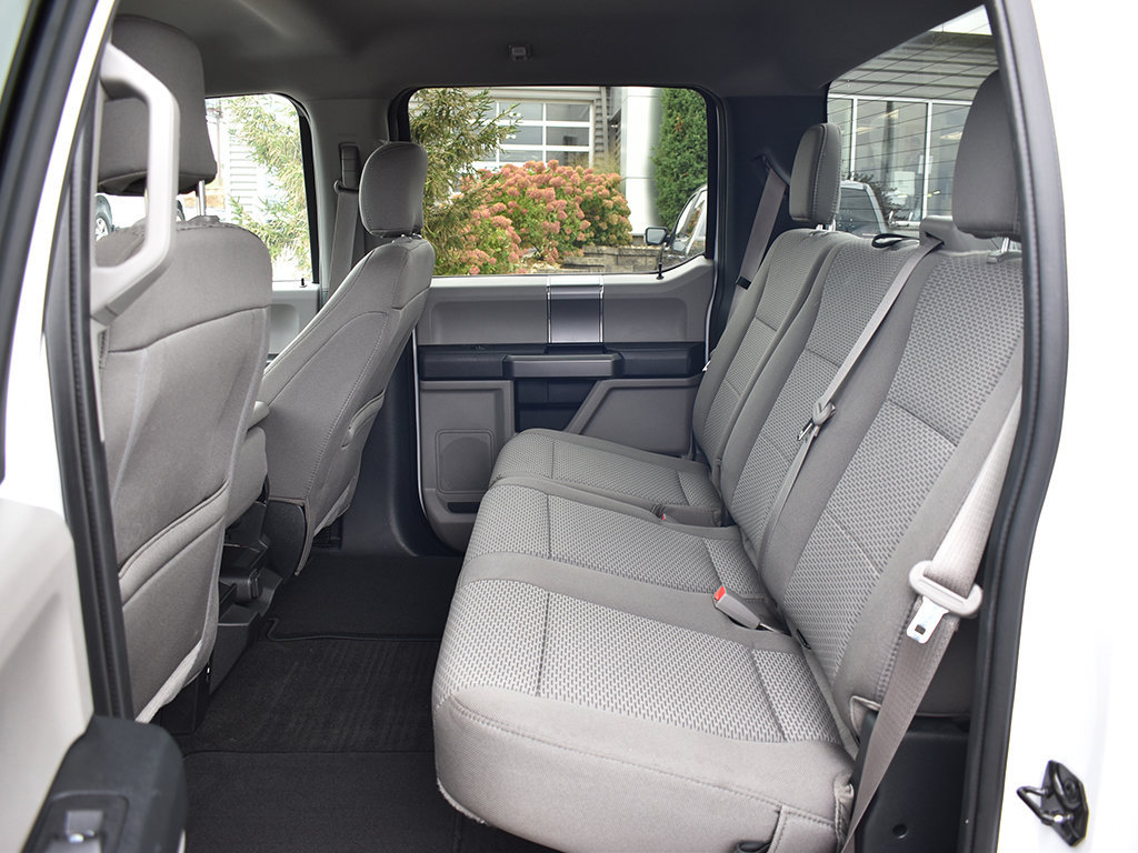 Used 2019 Ford F150 XLT w/ Equipment Group 302A Luxury AWD/4WD image 6