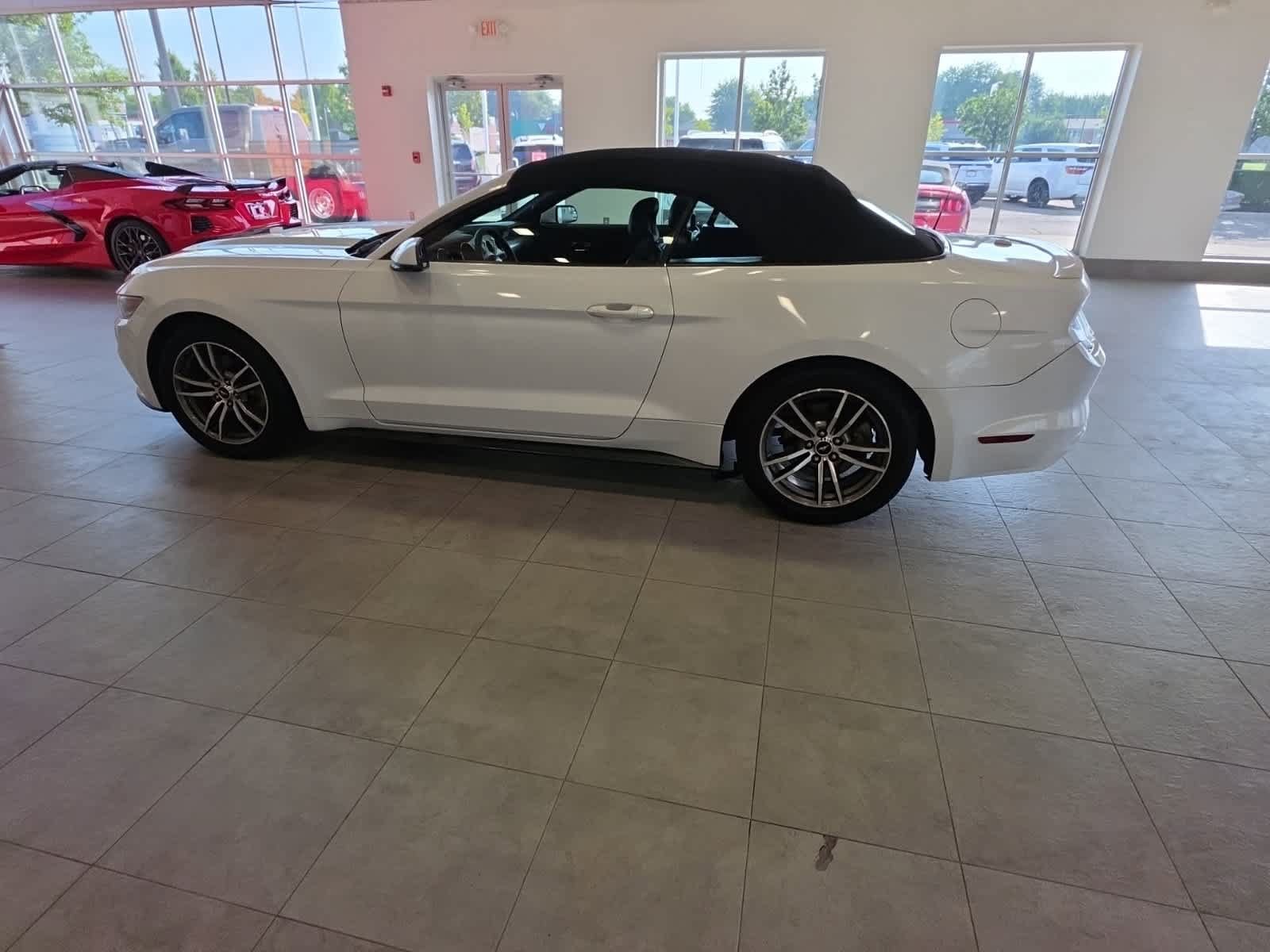 Used 2017 Ford Mustang Premium RWD image 13