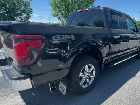 Used 2025 Ford F150 XLT w/ Equipment Group 301A Standard AWD/4WD image 2