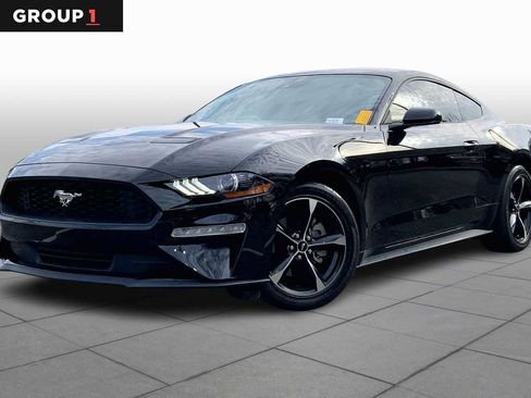 Used 2023 Ford Mustang Coupe w/ Equipment Group 101A image 1