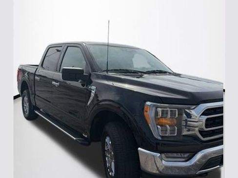 Used 2023 Ford F150 XLT w/ Equipment Group 302A High AWD/4WD image 1