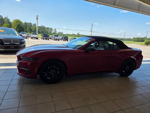 Used 2024 Ford Mustang Premium w/ Mustang Nite Pony Package image 4