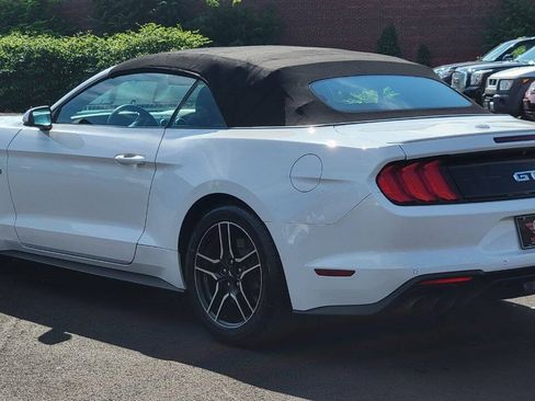 Used 2019 Ford Mustang GT Premium w/ Equipment Group 401A RWD image 15