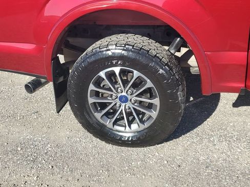 Used 2019 Ford F150 XLT w/ Equipment Group 302A Luxury AWD/4WD image 5