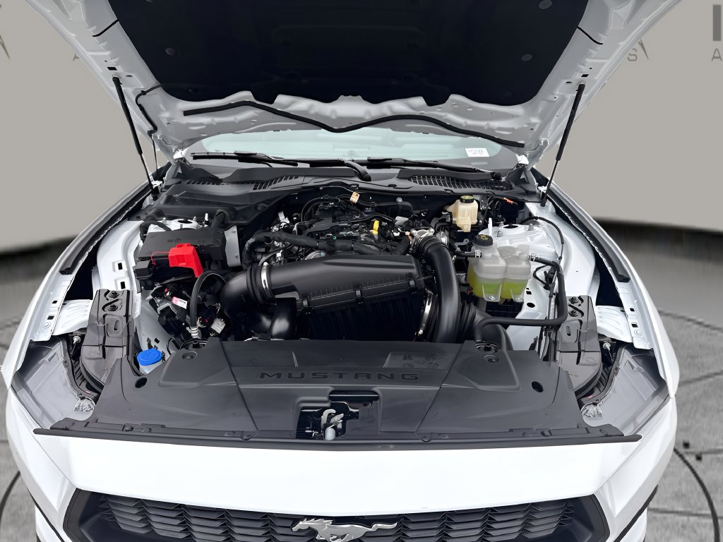 Used 2026 Ford Mustang Coupe RWD image 25