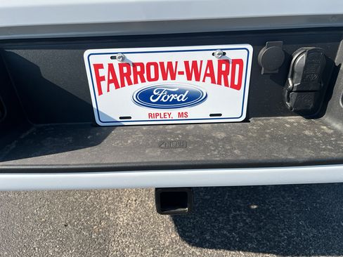 New 2025 Ford F150 STX w/ Equipment Group 200A image 16
