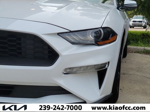 Used 2020 Ford Mustang Coupe RWD image 4