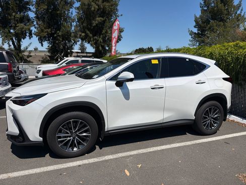 Used 2025 Lexus NX 350h AWD w/ Cold Area Package image 4
