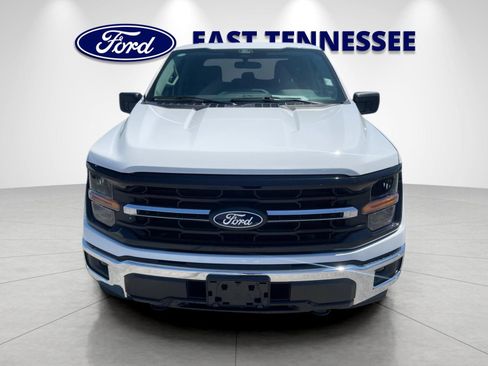 Used 2025 Ford F150 XLT w/ Equipment Group 301A Standard AWD/4WD image 9