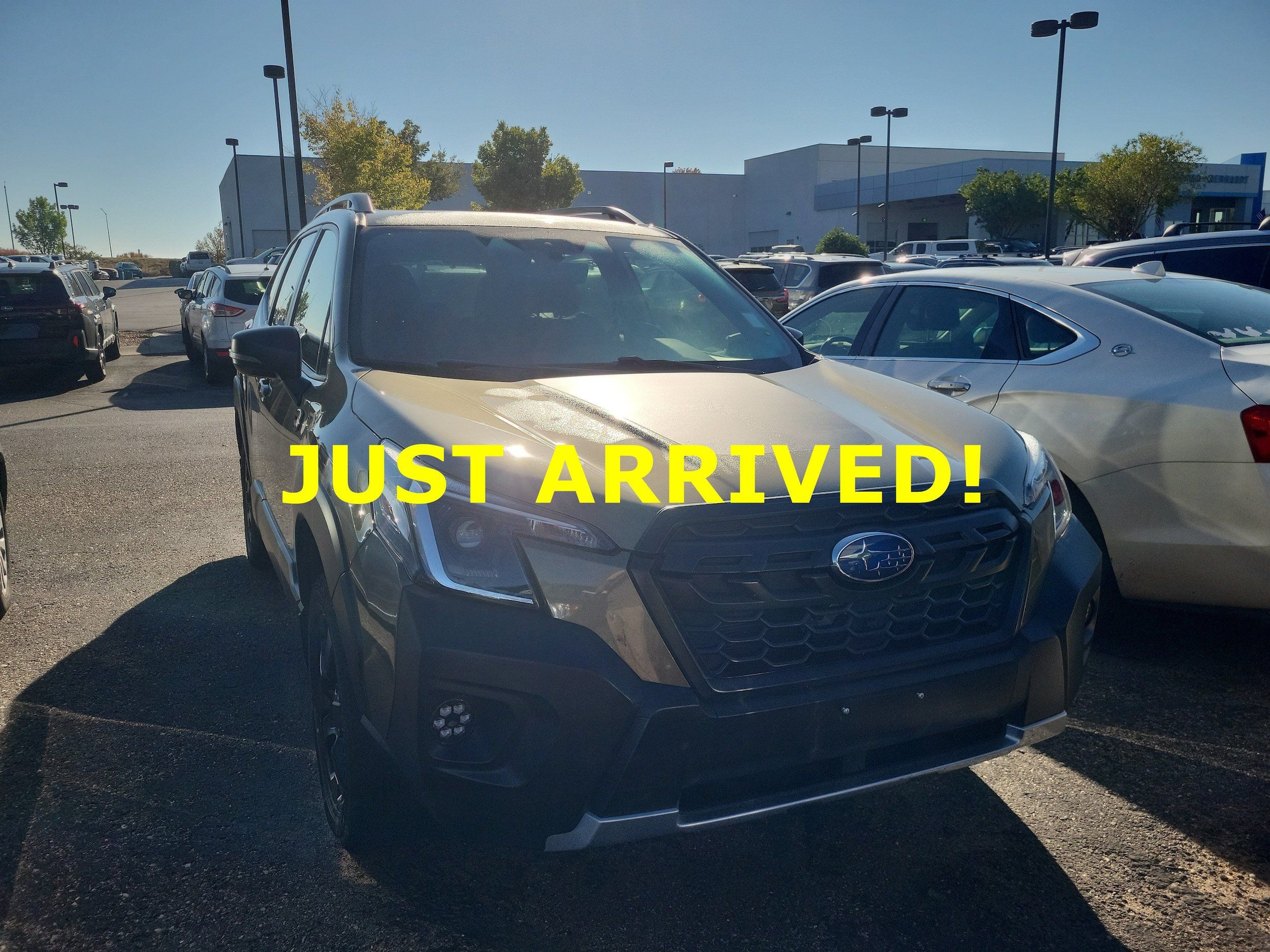 Used 2023 Subaru Forester Wilderness AWD/4WD image 2