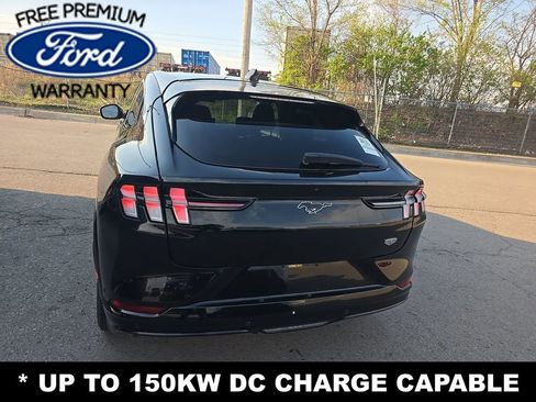 Used 2021 Ford Mustang Mach-E California Route 1 image 6
