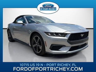 Used 2024 Ford Mustang Premium