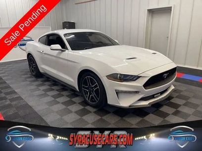 Used 2021 Ford Mustang Coupe w/ Equipment Group 101A