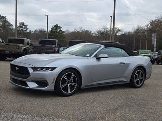 Used 2024 Ford Mustang Premium RWD video 2