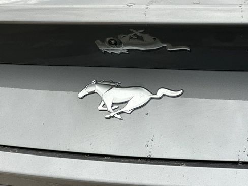 New 2026 Ford Mustang Coupe image 24