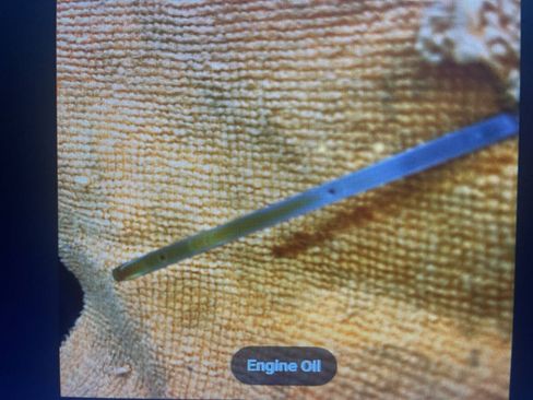 Used 2009 Toyota Corolla LE image 20