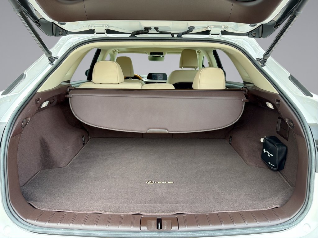Used 2020 Lexus RX 350 FWD w/ Premium Package image 13