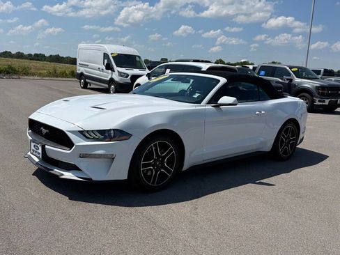 Used 2023 Ford Mustang Premium w/ Equipment Group 201A RWD image 36