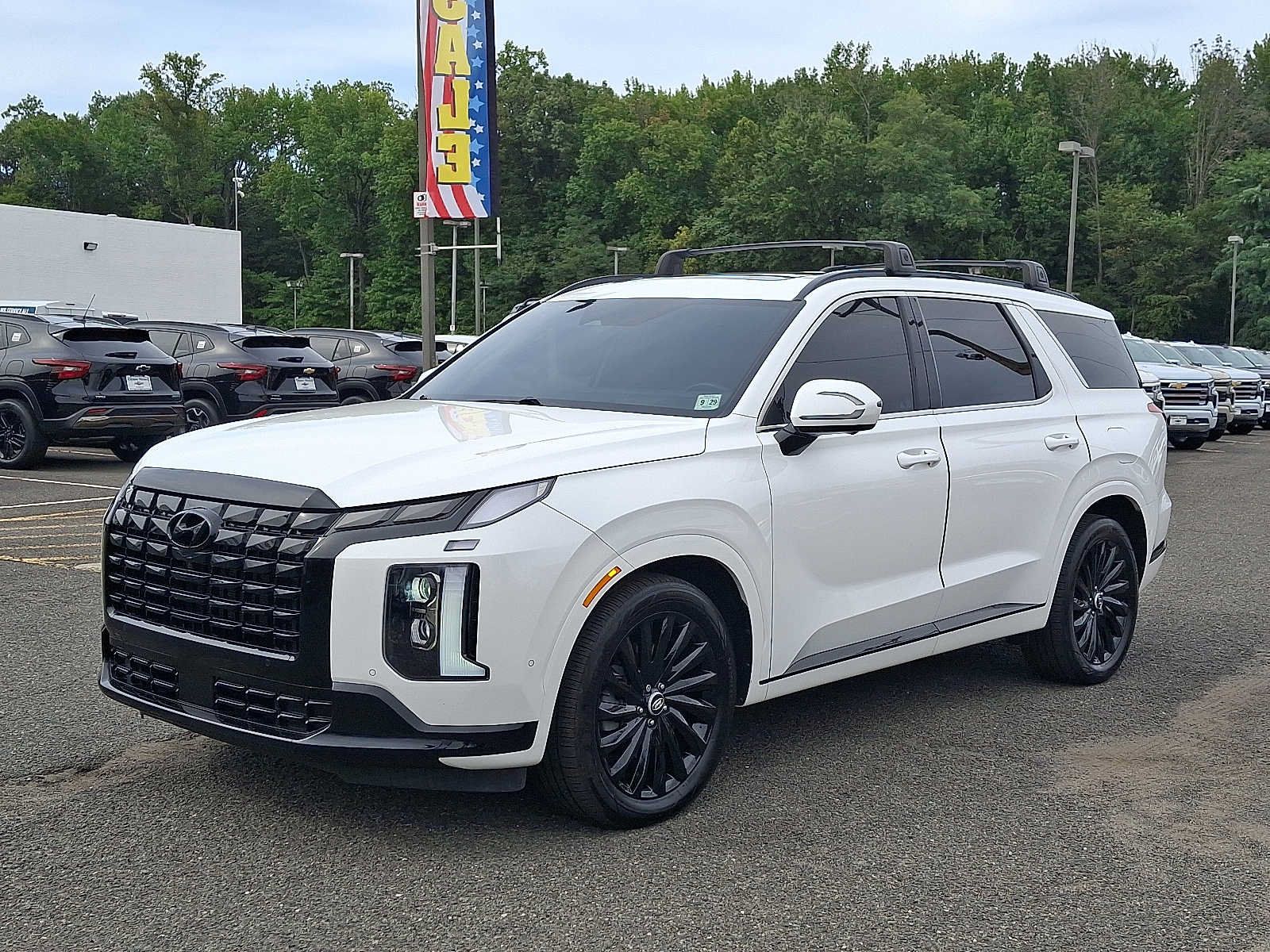 Used 2025 Hyundai Palisade Calligraphy AWD/4WD image 3