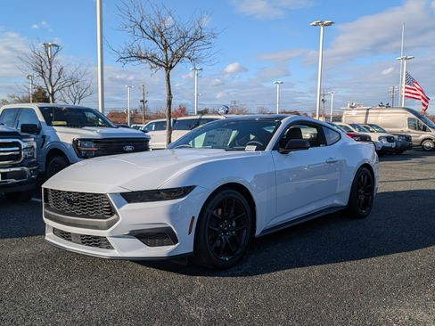 New 2026 Ford Mustang Coupe w/ Mustang Nite Pony Package image 4