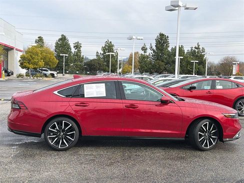 Used 2024 Honda Accord Touring image 3