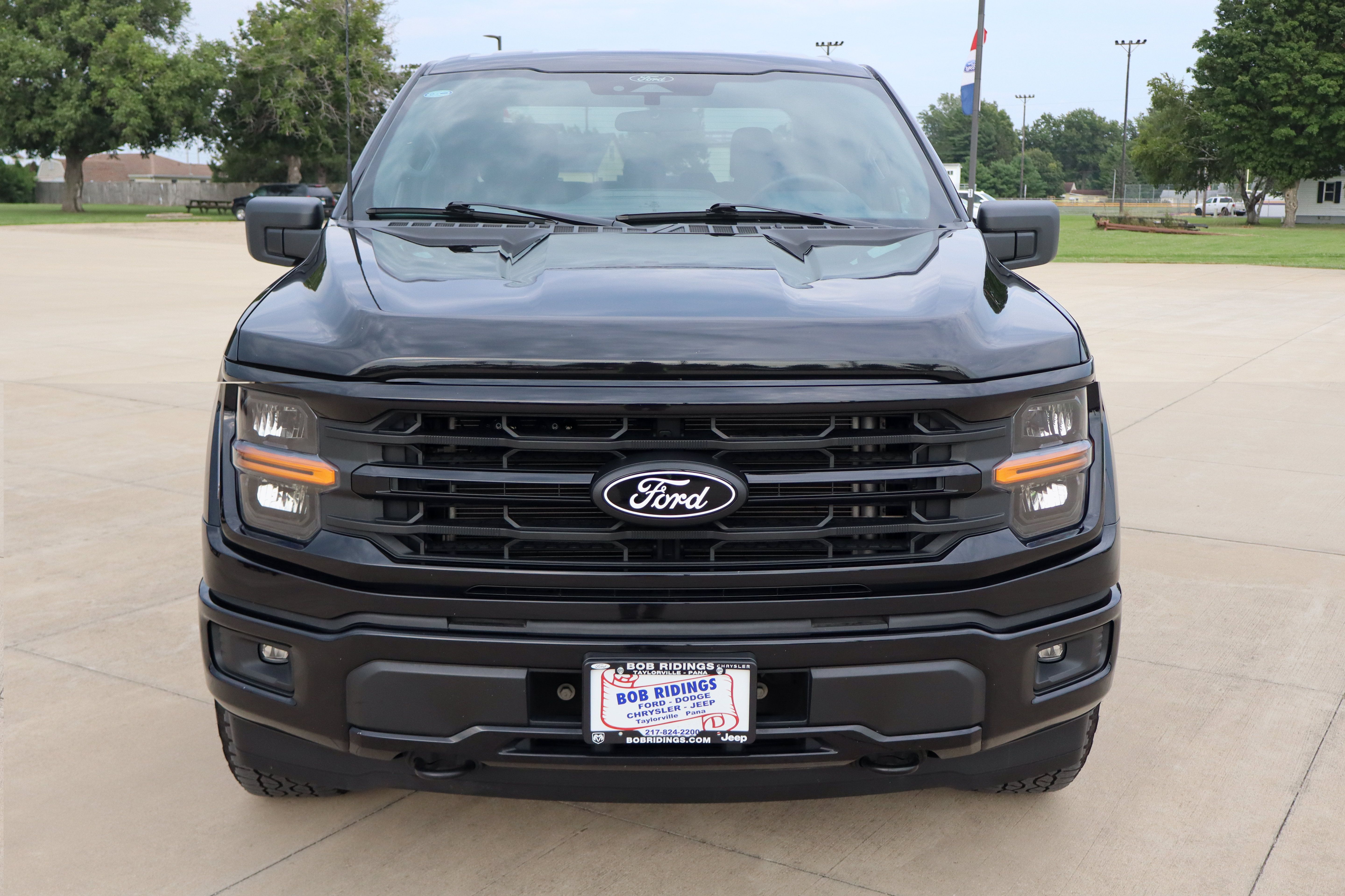 Used 2025 Ford F150 XLT w/ Equipment Group 301A Standard AWD/4WD image 2