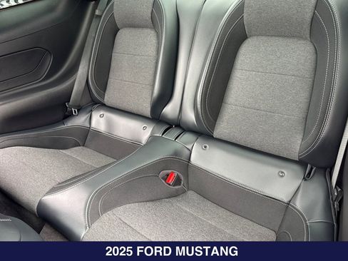 Used 2025 Ford Mustang Coupe RWD image 13
