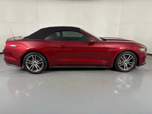 Used 2017 Ford Mustang Premium w/ Equipment Group 201A image 11