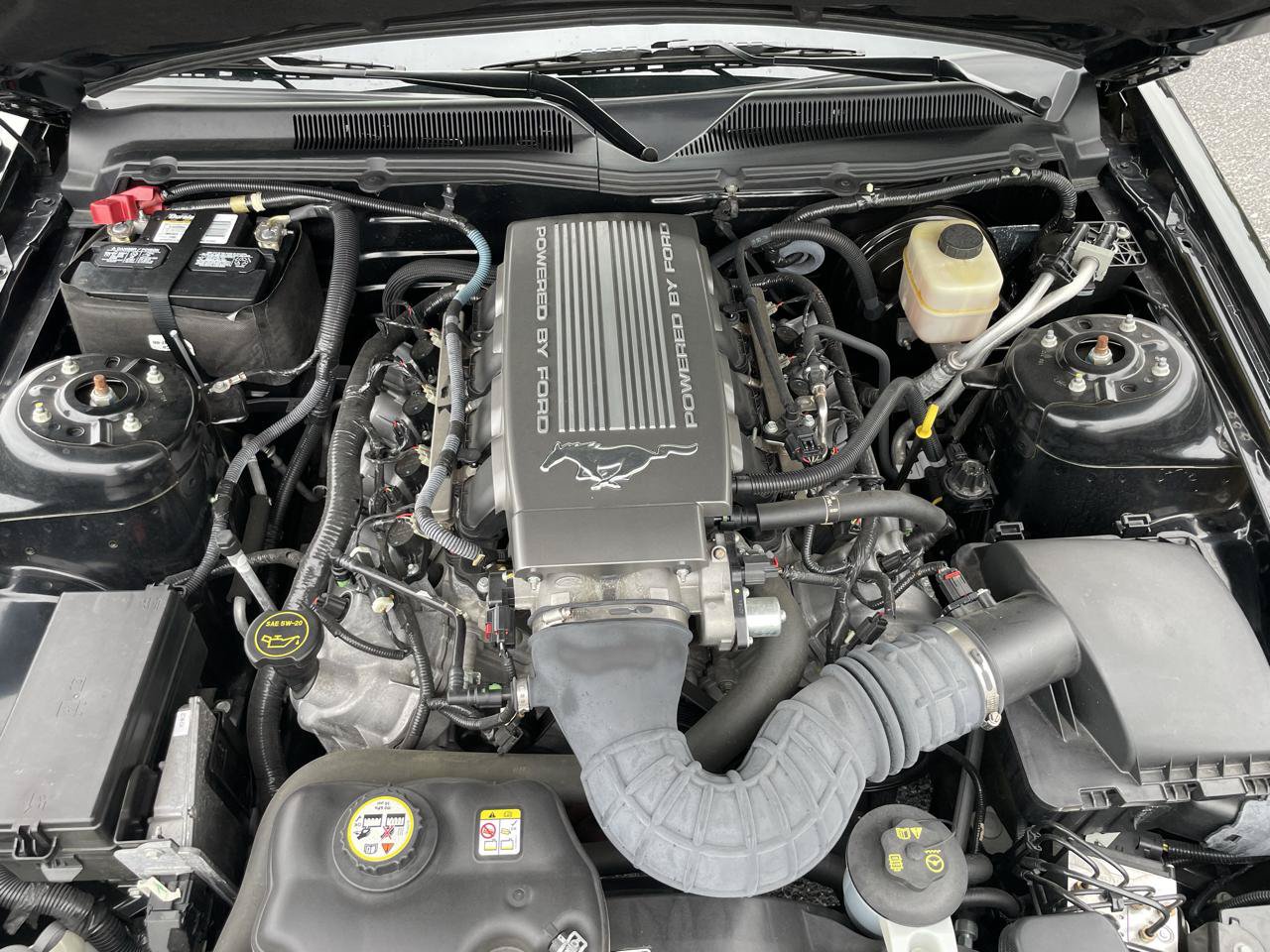 Used 2007 Ford Mustang GT Premium RWD image 9