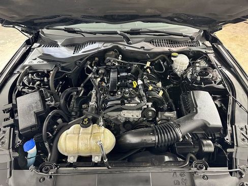 Certified 2021 Ford Mustang EcoBoost w/ Black Accent Package image 23