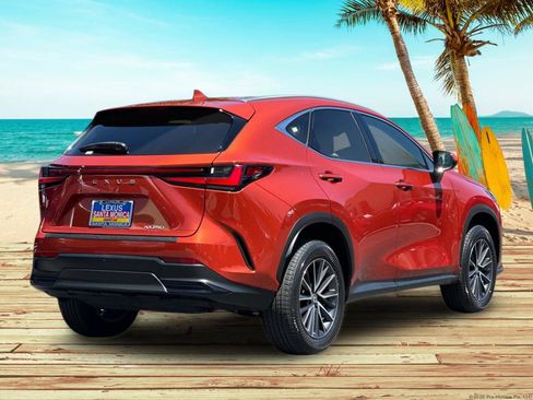 Used 2024 Lexus NX 250 FWD image 6