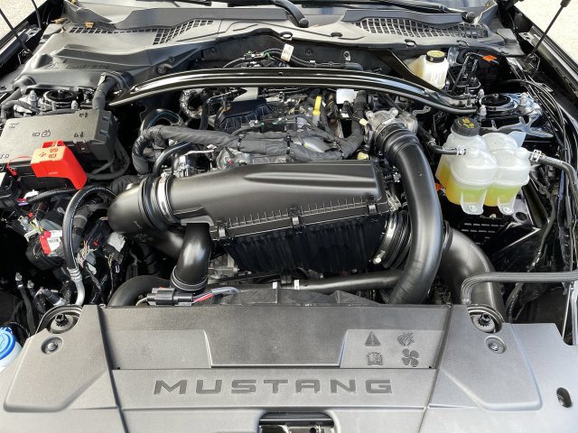 Certified 2026 Ford Mustang Premium w/ Bronze Appearance Package RWD image 3