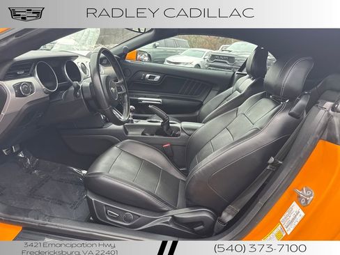 Used 2019 Ford Mustang Premium image 3
