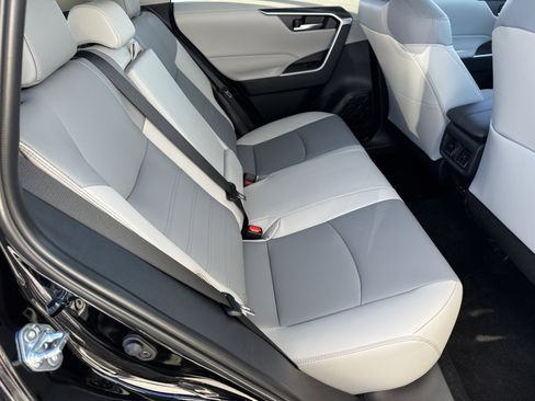 New 2025 Toyota RAV4 XLE Premium image 5
