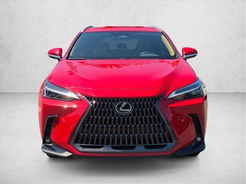 Used 2025 Lexus NX 350h AWD image 2